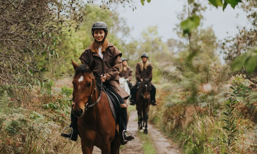 Byron Bay Guided Horse Trail Ride - 90 Minutes | Experience Oz-5