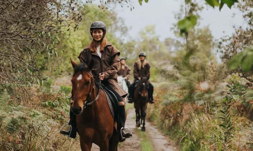Byron Bay Guided Horse Trail Ride - 90 Minutes | Experience Oz