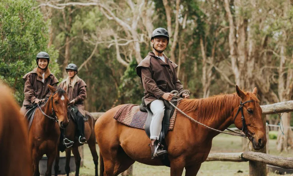 Byron Bay Guided Horse Trail Ride - 90 Minutes | Experience Oz-2