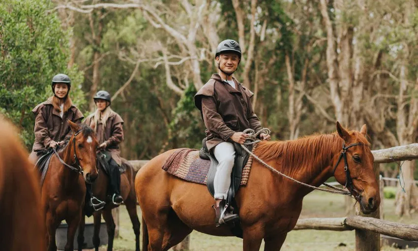 Byron Bay Guided Horse Trail Ride - 90 Minutes | Experience Oz