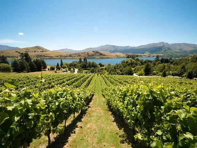 Queenstown Jet Boat Ride and Boutique Wine Tour | Experience Oz