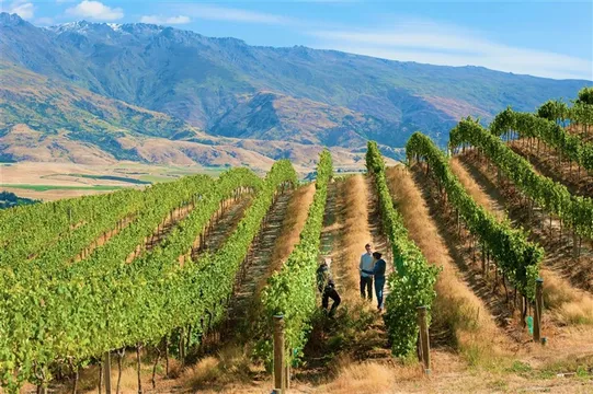 Queenstown Jet Boat Ride and Boutique Wine Tour