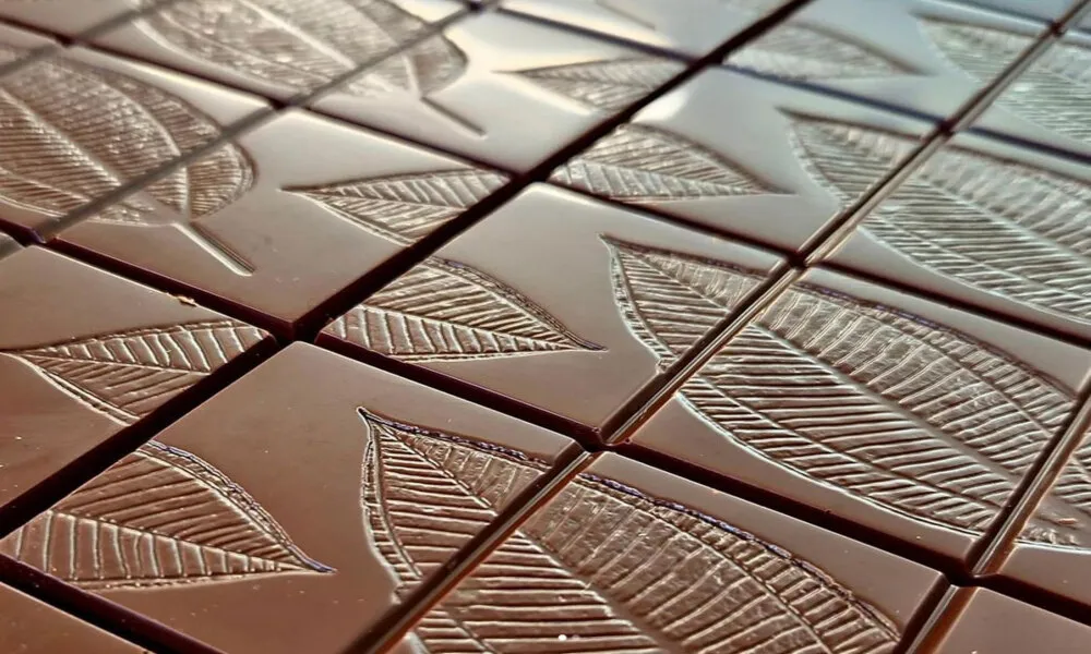 Daintree Gourmet Sensations Tour with Picnic Lunch  | Experience OZ-4