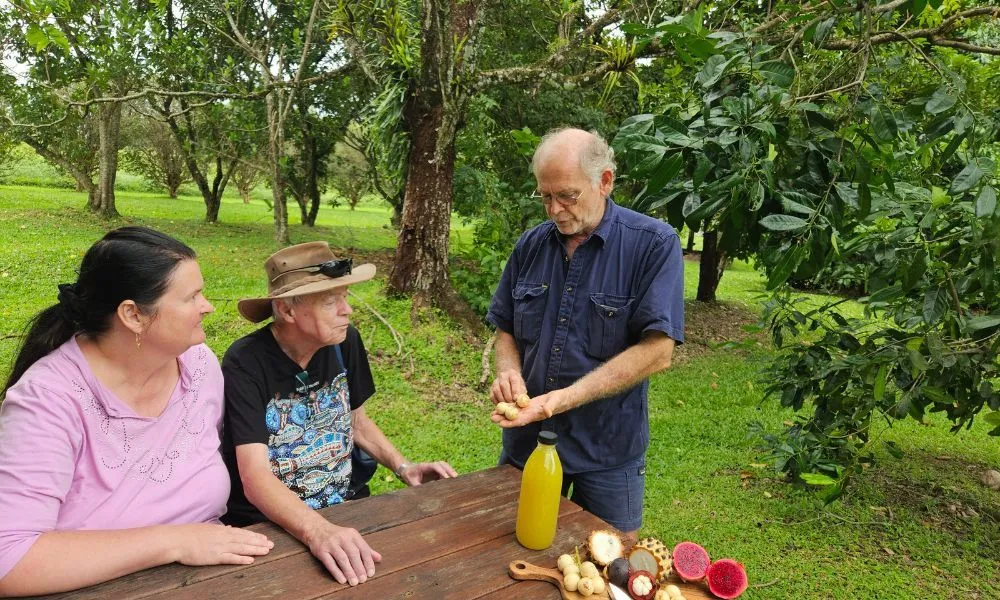 Daintree Gourmet Sensations Tour with Picnic Lunch  | Experience OZ-5