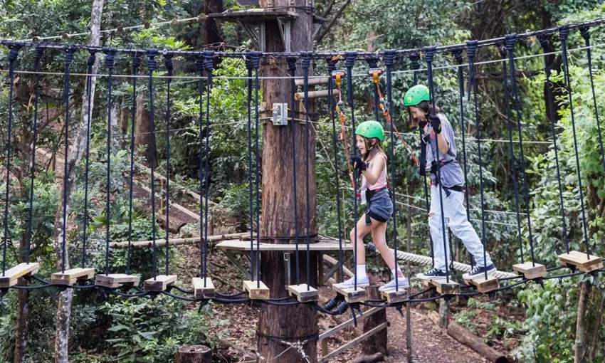 Sunshine Coast Junior Zipline Adventure