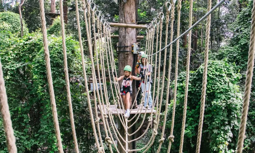 Sunshine Coast Junior Zipline Adventure