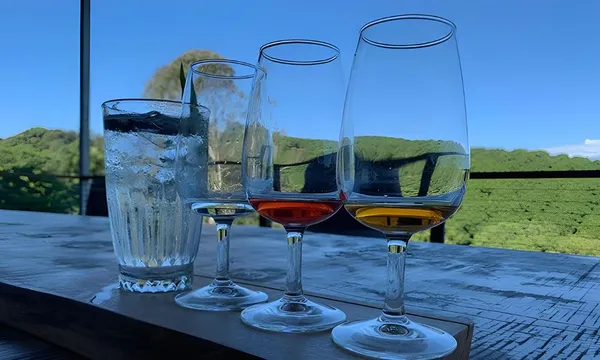 Byron Bay Brewery and Distillery Tour Afternoon 