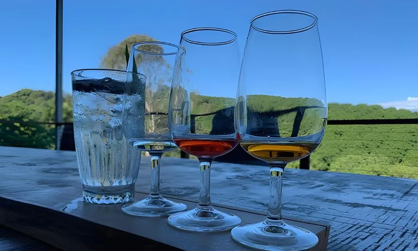 Byron Bay Brewery and Distillery Tour Afternoon | Experience OZ