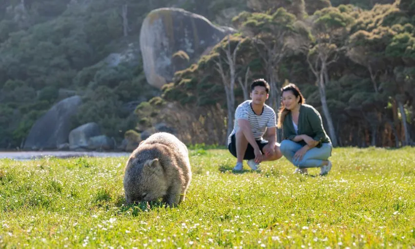 Wilsons Promontory National Park Wilderness Day Tour | Experience OZ
