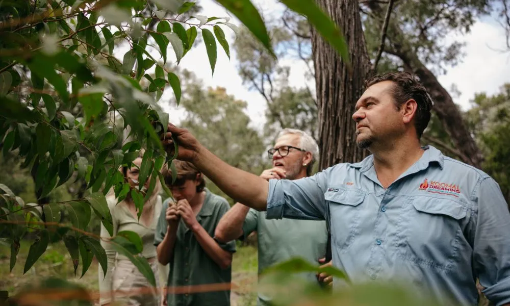 Twilight Didgeridoo Ngilgi Cave Tour - Book Now | Experience OZ-2