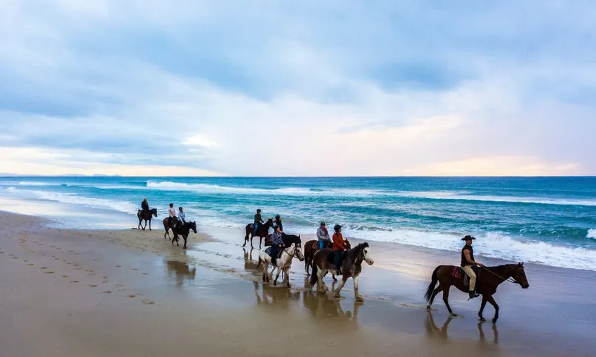 Byron Bay Forest to Beach Horse Ride - 2 Hours | Experience Oz