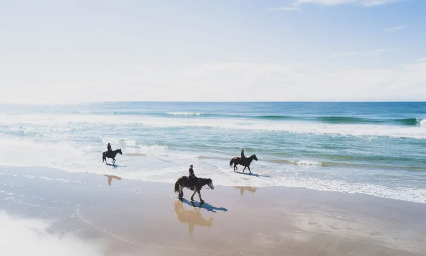 Byron Bay Forest to Beach Horse Ride - 2 Hours | Experience Oz