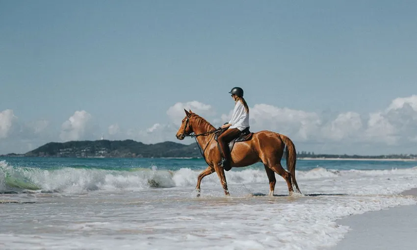 Byron Bay Forest to Beach Horse Ride - 2 Hours | Experience Oz