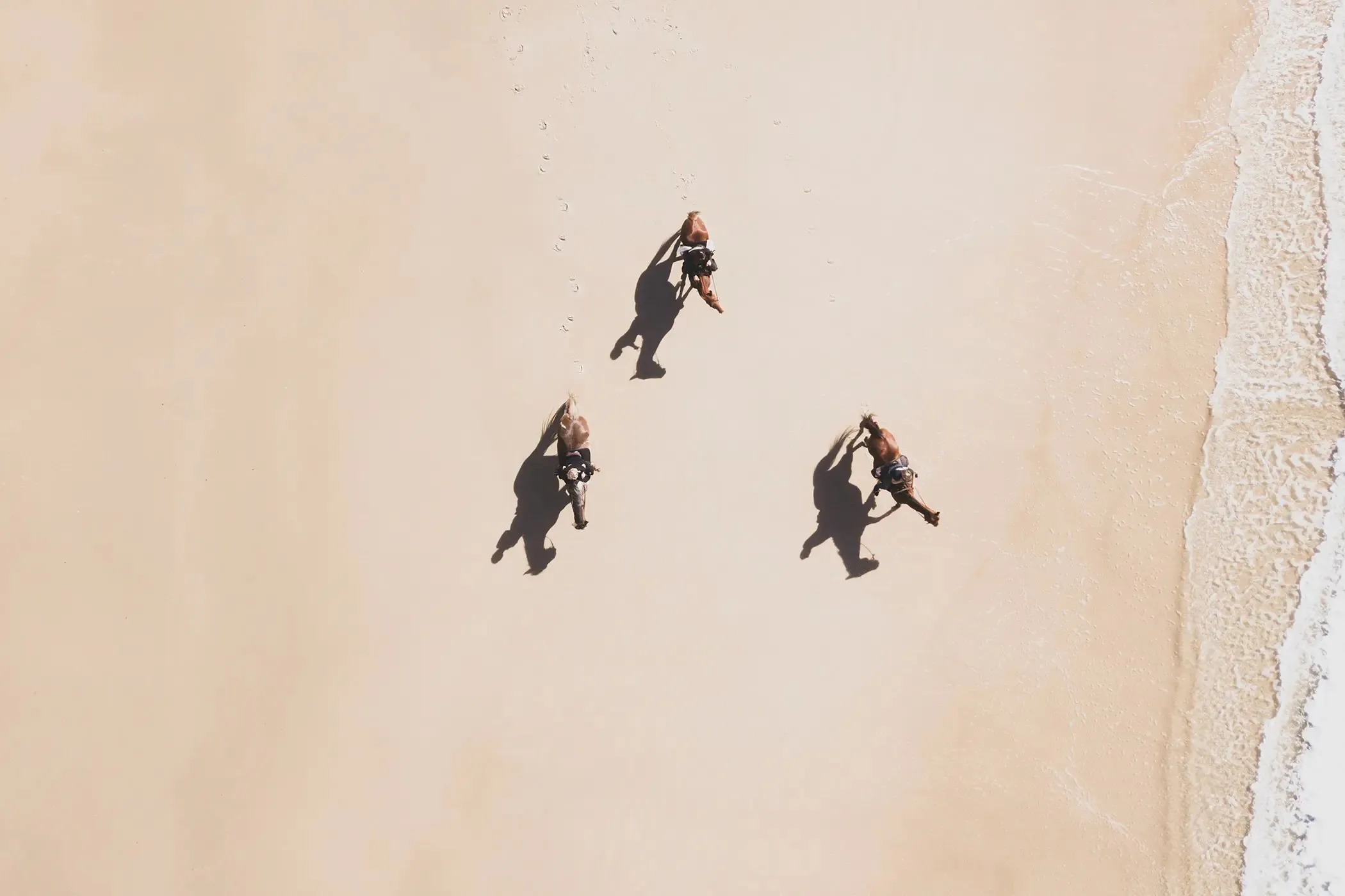 Byron Bay Forest to Beach Horse Ride - 2 Hours | Experience Oz-10