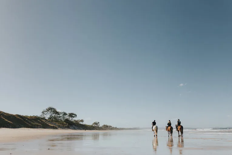 Byron Bay Forest to Beach Horse Ride - 2 Hours | Experience Oz