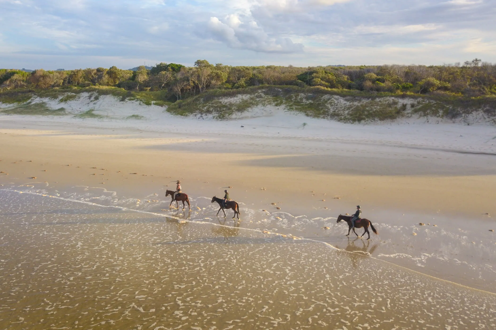 Byron Bay Forest to Beach Horse Ride - 2 Hours | Experience Oz-9