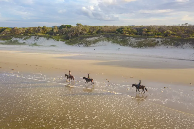 Byron Bay Forest to Beach Horse Ride - 2 Hours | Experience Oz