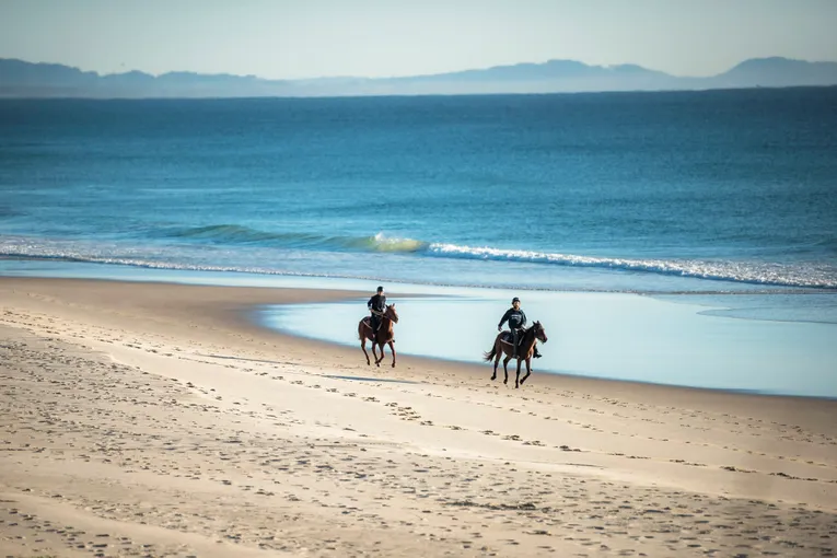 Byron Bay Forest to Beach Horse Ride - 2 Hours | Experience Oz
