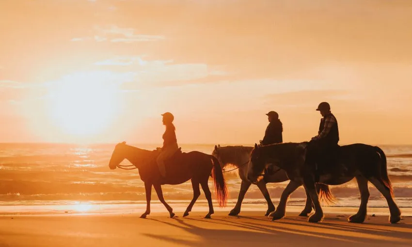 Byron Bay Sunrise or Sunset Horse Ride - 2 Hours | Experience Oz