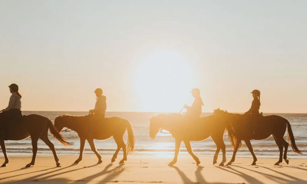 Byron Bay Sunrise or Sunset Horse Ride - 2 Hours | Experience Oz-1
