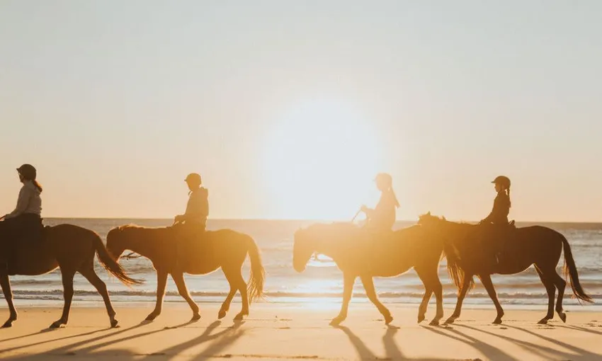 Byron Bay Sunrise or Sunset Horse Ride - 2 Hours | Experience Oz