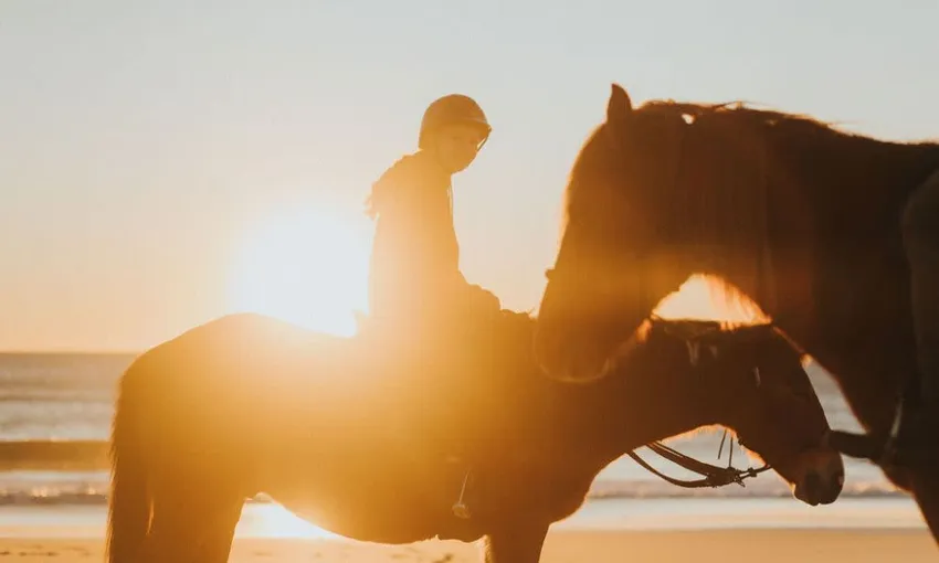 Byron Bay Sunrise or Sunset Horse Ride - 2 Hours | Experience Oz