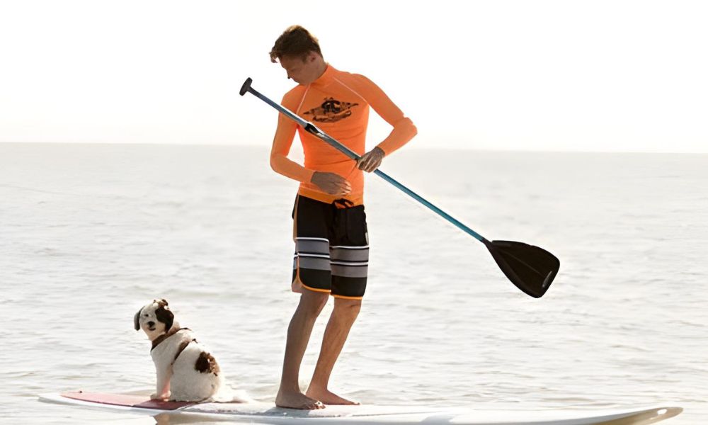 Stand Up Paddle Boarding Hire - 1 Hour 