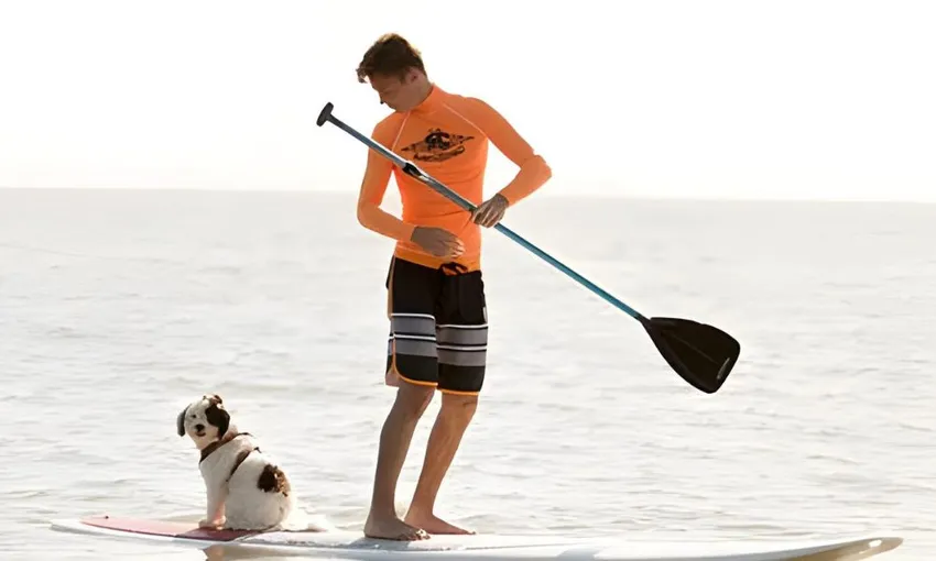 Stand Up Paddle Boarding Hire - 1 Hour 