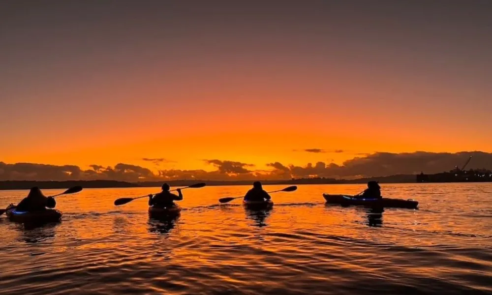  Sydney Harbour Sunrise Kayak with Breakfast | Experience Oz -5