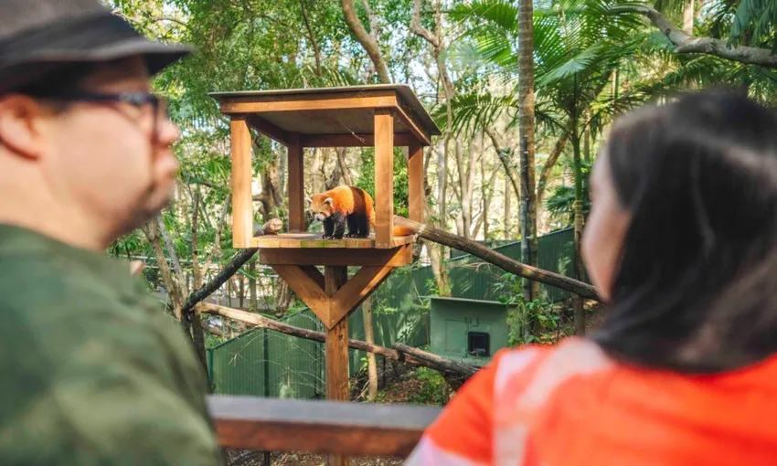 Currumbin Wildlife Sanctuary Tickets