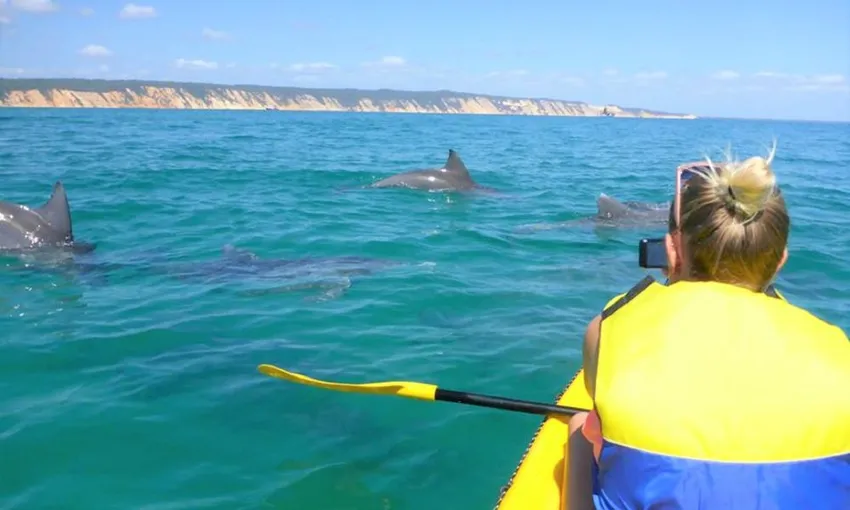  Dolphin Spotting Kayak and 4WD Adventure Day Tour - Noosa