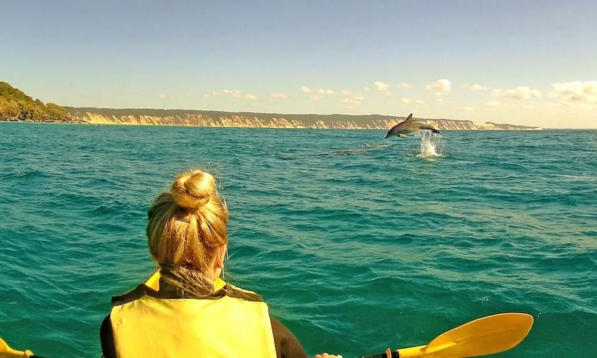  Dolphin Spotting Kayak and 4WD Adventure Day Tour - Noosa