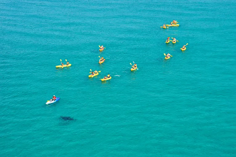  Dolphin Spotting Kayak and 4WD Adventure Day Tour - Noosa