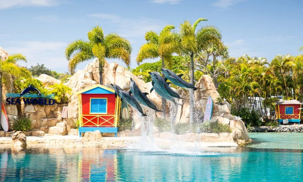 Arro Jet Boat Ride and Sea World Entry - Book Now | Experience Oz -7