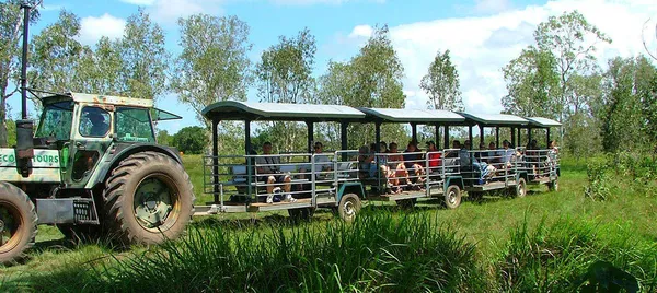 Airlie Beach Crocodile Watching Cruise & Full Day Adventure