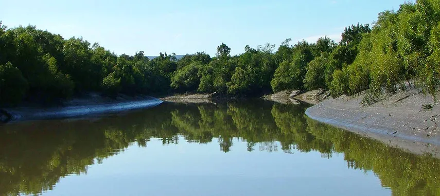 Airlie Beach Crocodile Watching Cruise & Full Day Adventure