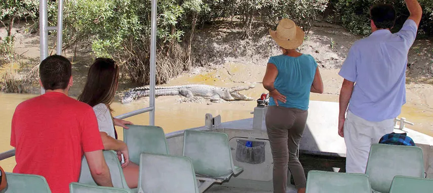 Airlie Beach Crocodile Watching Cruise & Full Day Adventure