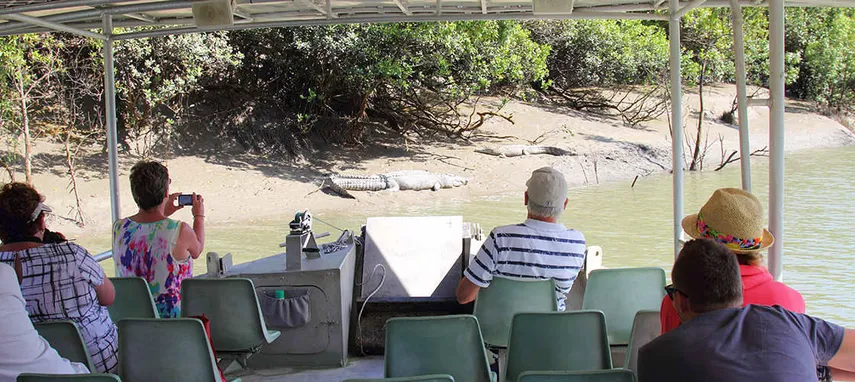 Airlie Beach Crocodile Watching Cruise & Full Day Adventure