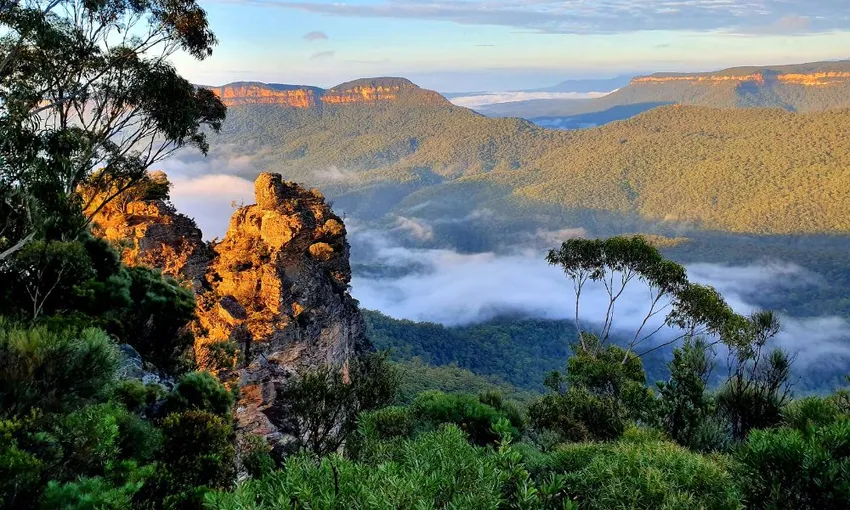 Blue Mountains Army Truck Adventure - 3 Hours 