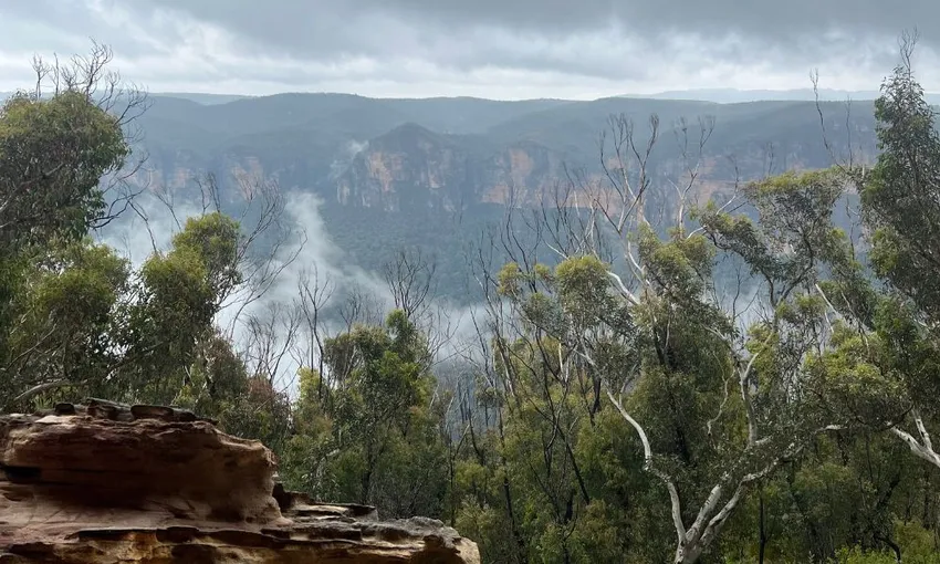 Blue Mountains Army Truck Adventure - 3 Hours 