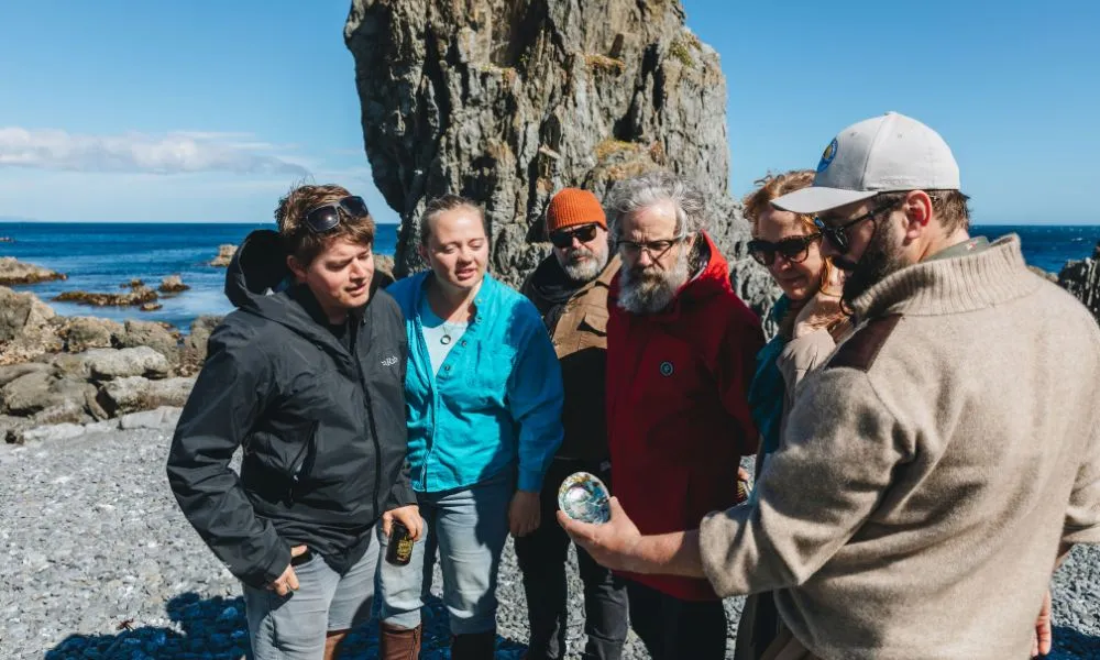 Wellington Seal Coast Safari | Experience OZ-1