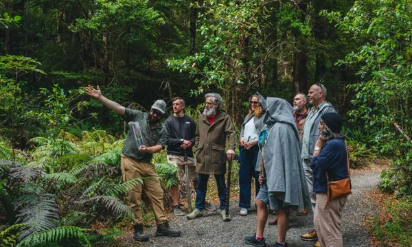 Lord of the Rings Half Day Tour from Wellington with Weta Workshop