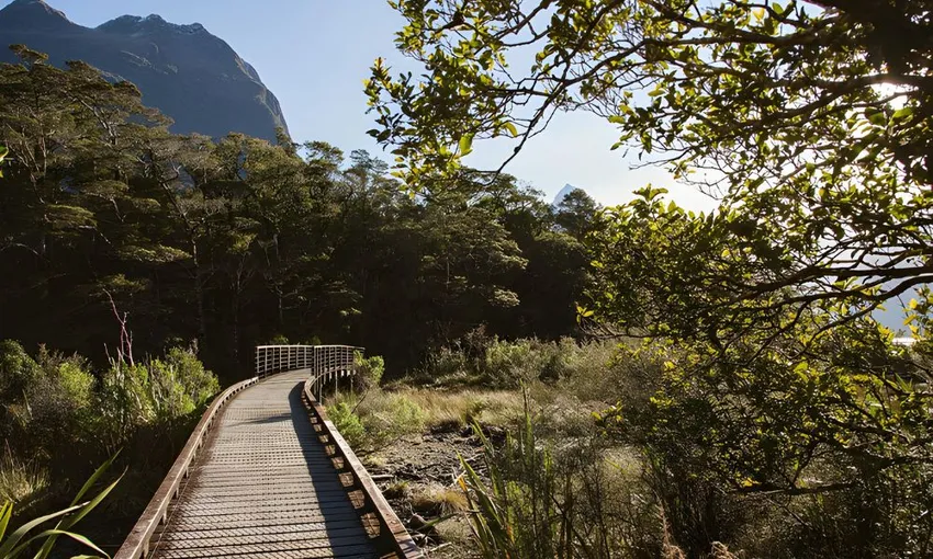Milford Sound Fly and Explore - 3.5 Hours | Experience OZ