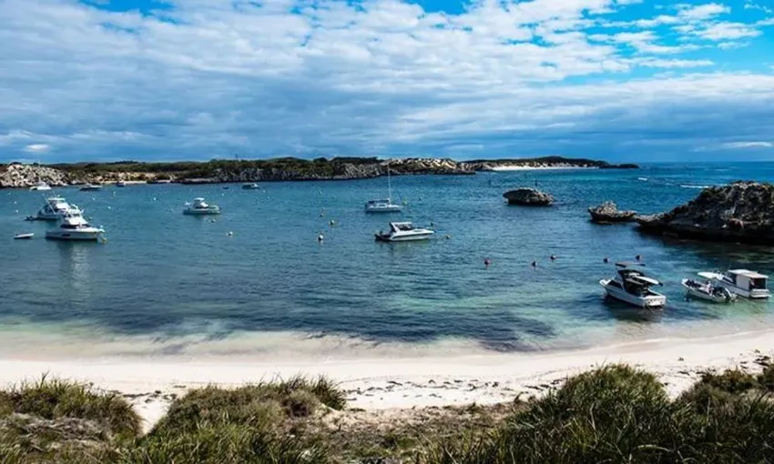 Guided E-Bike Tour, 4 Hours - Rottnest Island