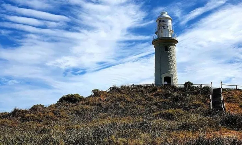 Guided E-Bike Tour, 4 Hours - Rottnest Island