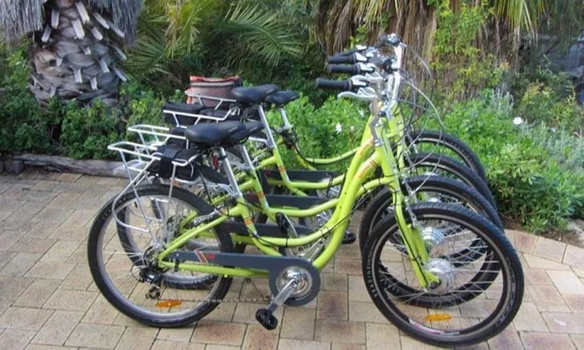 Guided E-Bike Tour, 4 Hours - Rottnest Island