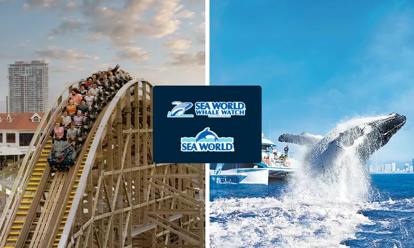 Sea World Whale Watch Cruise and Sea World Entry | Experience Oz 