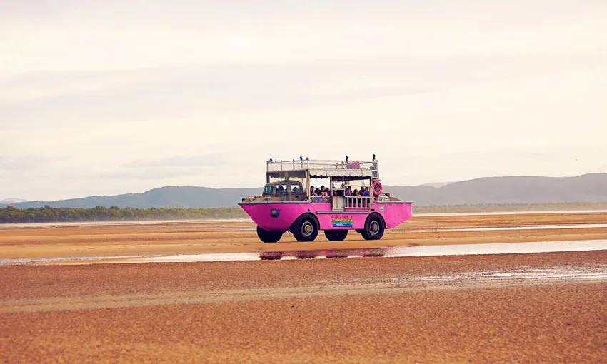 Amphibious Larc Afternoon Cruise - 1 Hour