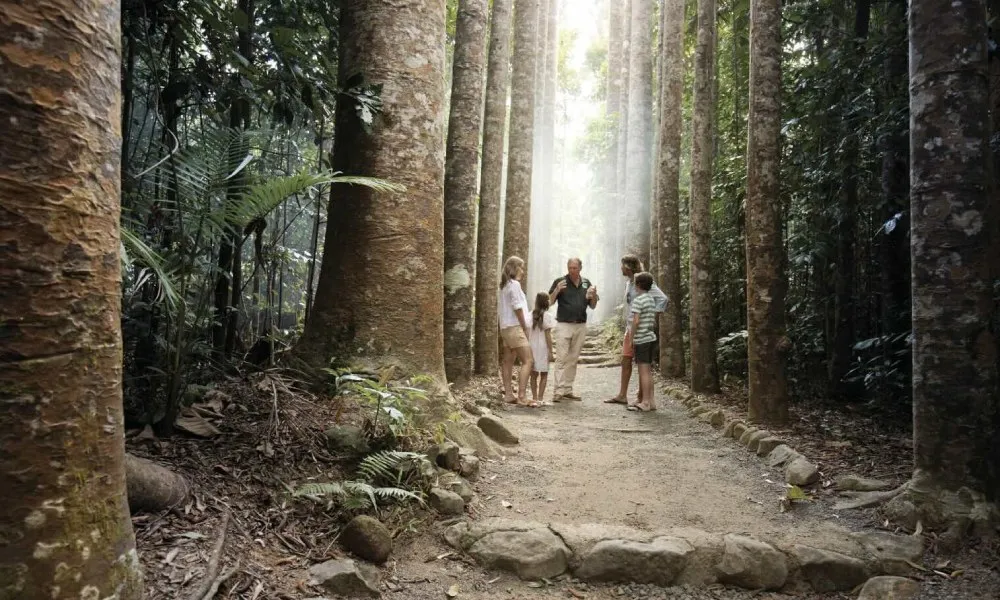 Paronella Park & Mamu Tropical Skywalk Admission - 2 Park Pass | Experience OZ-3