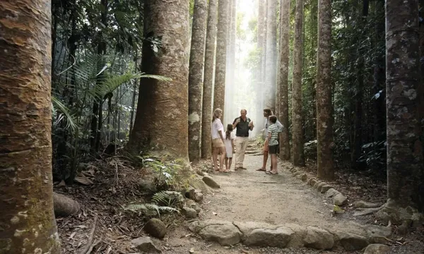 Paronella Park & Mamu Tropical Skywalk Admission - 2 Park Pass
